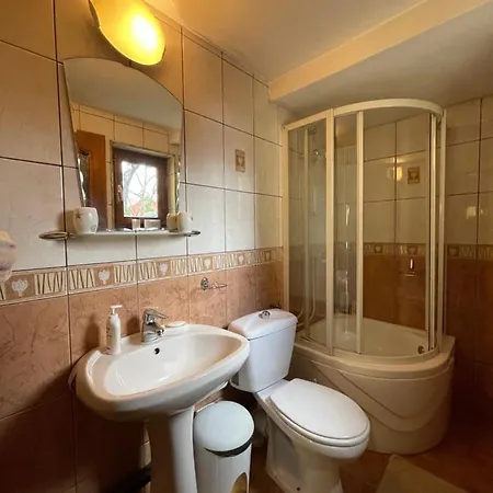 Guest house Pensiunea Nechita *
