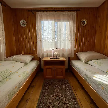 Guest house Pensiunea Nechita Sant