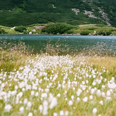 Pensiunea Nechita * Sant