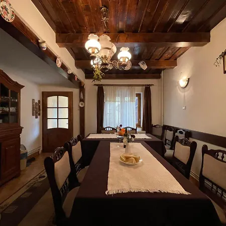 Pensiunea Nechita Guest house *