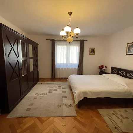 Pensiunea Nechita Guest house Sant