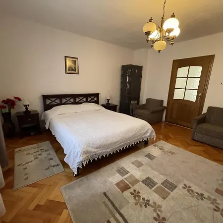 Pensiunea Nechita Guest house Sant