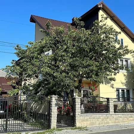 Guest house Pensiunea Nechita *