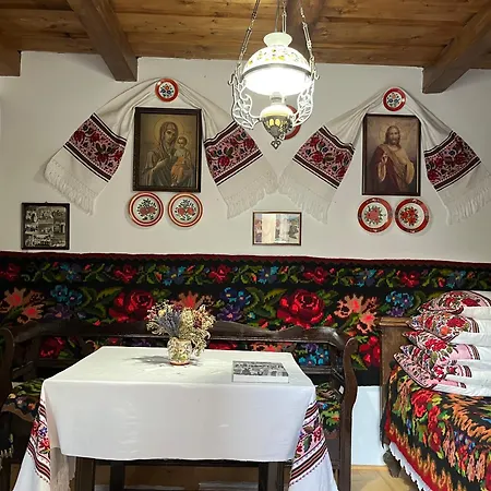 Pensiunea Nechita *